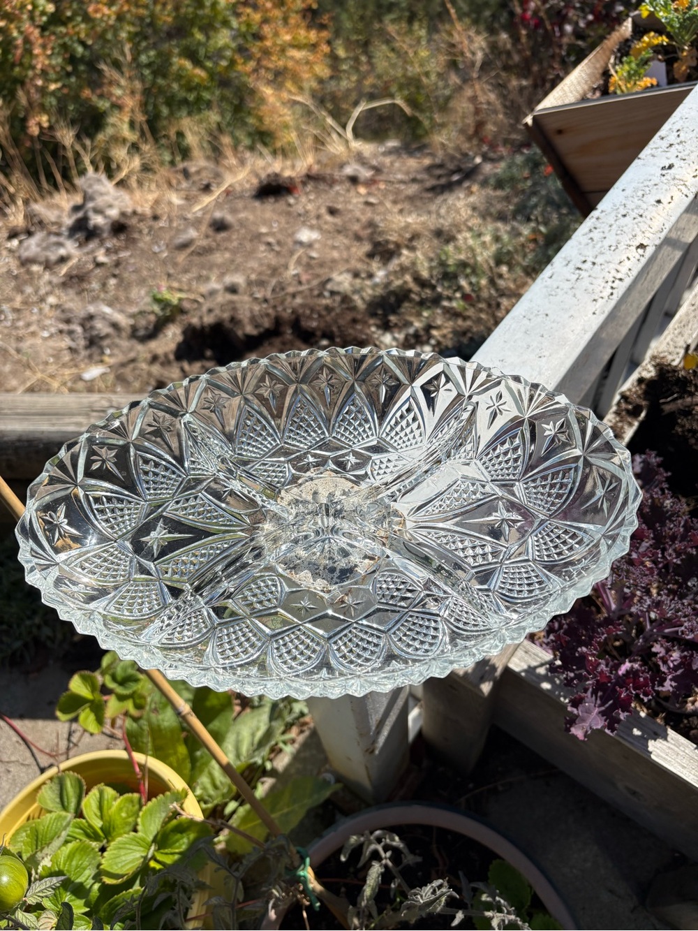 Beautiful  French Pressed Glass Relish Dish From France